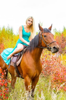 bir at binme sarışın sonbahar ormanda yürür