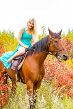 bir at binme sarışın sonbahar ormanda yürür