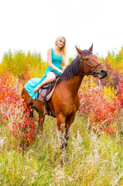 bir at binme sarışın sonbahar ormanda yürür