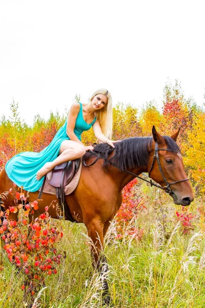 bir at binme sarışın sonbahar ormanda yürür