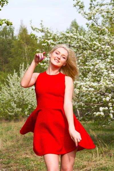 Blonde Garden Flowering Trees — Stock Photo, Image