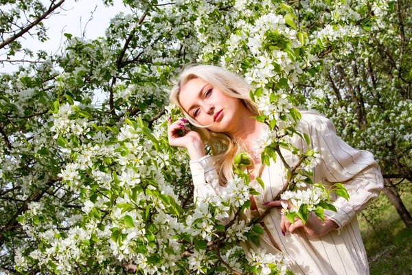 Blonde Garden Flowering Trees — Stock Photo, Image