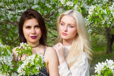 Sarışın ve esmer bir bahçe çiçek açması ağaçları arasında