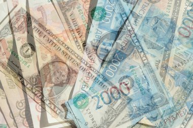 Çeşitli ülkelerin banknotları. Kolaj