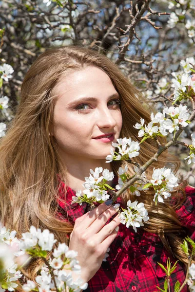 Joyeux Jeune Fille Parmi Les Branches Pommier Fleurs — Photo