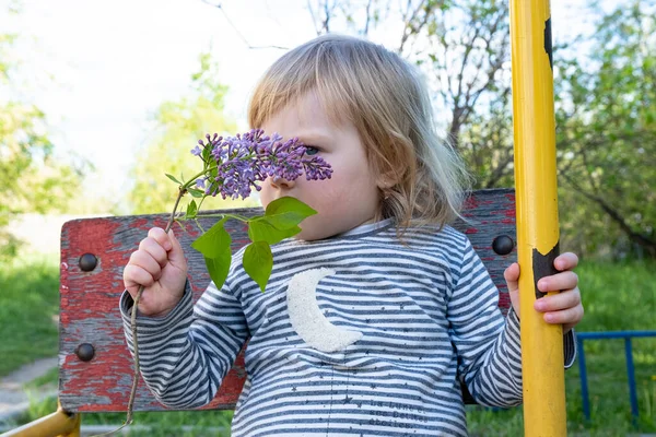 Bambina Tiene Mano Ramo Lilla Estate — Foto Stock