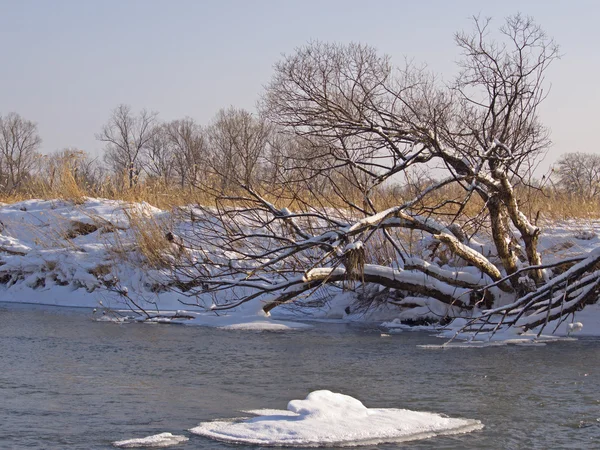 Pequeño pequeño río en el invierno — Foto de Stock