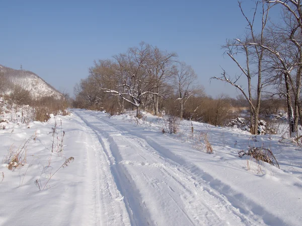 Estrada de Campo no Inverno — Fotografia de Stock