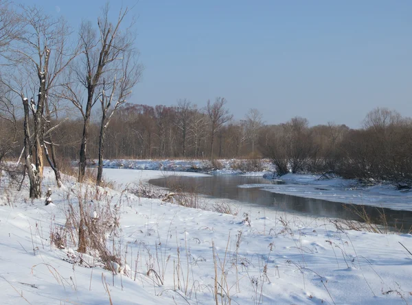 冬の小さな小さな川 — ストック写真