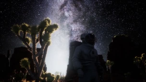 Astronaut and Star Milky Way Formation in Death Valley — Stock Footage Astronaut and Star Milky Way Formation in Death Valley Royalty Free Stock Video