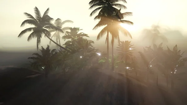 Coco palm trees tropical landscape with smoke and sun beam