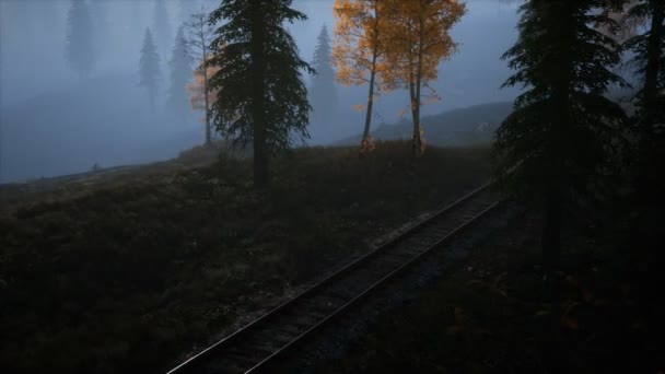 Ulusal orman dinlenme alanı ve demiryolu ile sis
