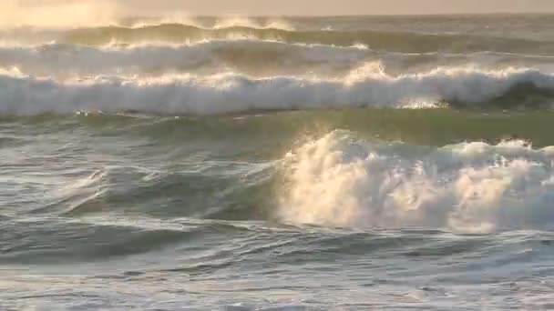 Большие прибрежные волны — стоковое видео