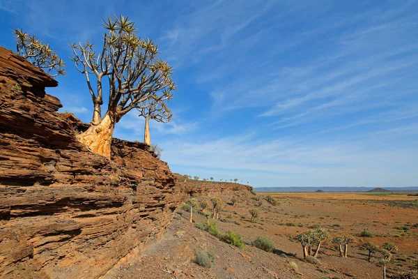 Tremer paisagem arbórea — Fotografia de Stock