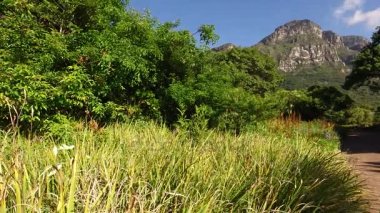 KIRSTENBOSCH botanik bahçeleri - Cape Town