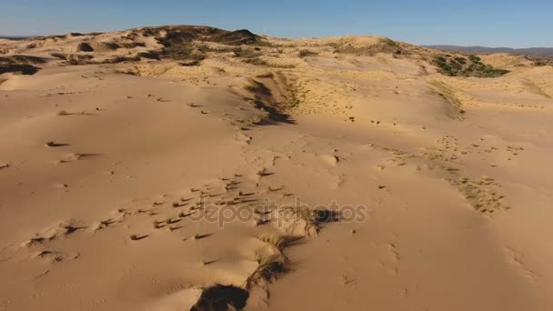 A légi felvétel a homokdűnék - Dél-afrikai Köztársaság — Stock videók