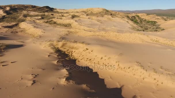 Flygfoto över sanddyner - Sydafrika — Stockvideo