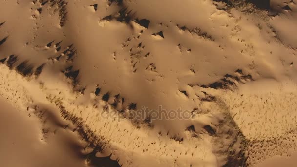 Vista aérea de dunas de arena - Sudáfrica — Vídeo de stock