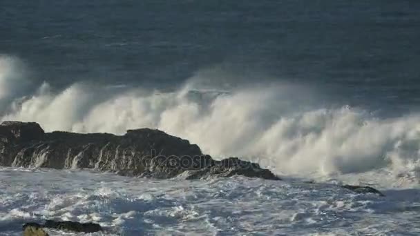 Grande onda di rottura — Video Stock