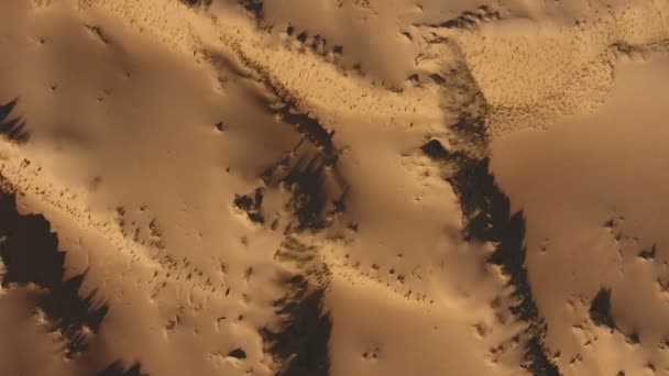 Vista aérea de dunas de arena - Sudáfrica — Vídeo de stock