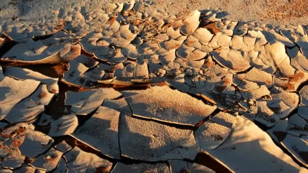 Τοπίο της ερήμου με ραγισμένο λάσπη — Αρχείο Βίντεο