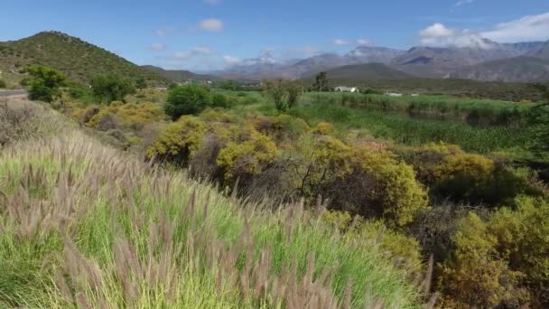 Vidéki táj - Dél-afrikai Köztársaság — Stock videók