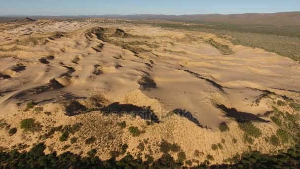 Luchtfoto van duinen - Zuid-Afrika — Stockvideo