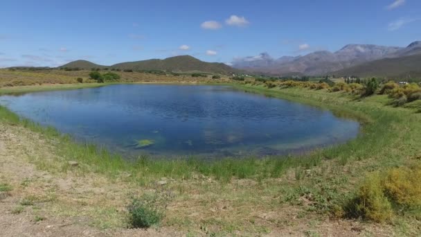 乡村景观-南非 — 图库视频影像