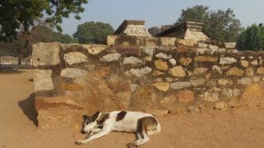 Köpek Qutb Minar kompleksi - Hindistan sokak