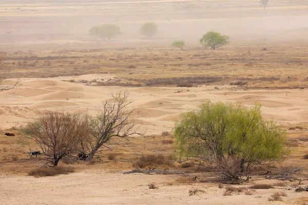 Dust storm on barren plain — Stock Photo, Image