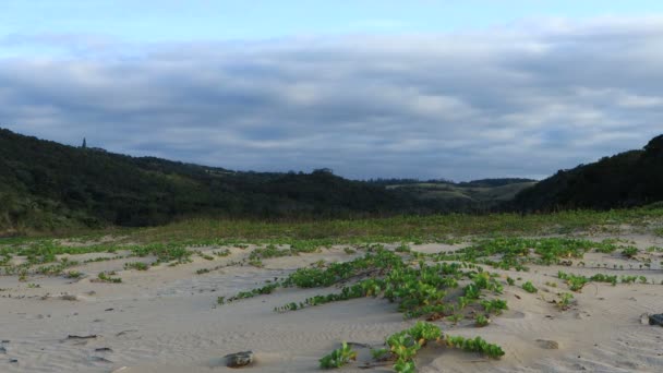 Time Lapse Stormy Clouds Moving Coastal Dunes Forest Sudáfrica — Vídeos de Stock