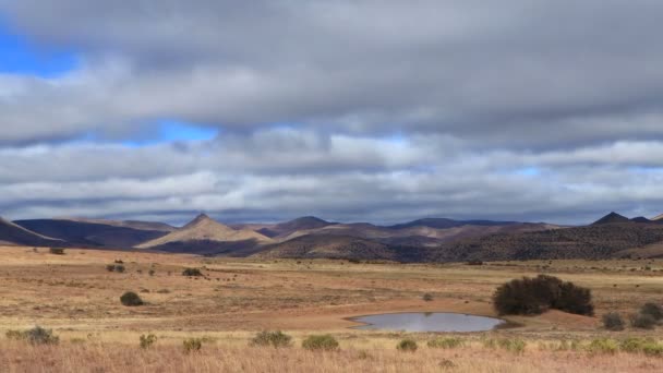 Time Lapse Cloud Mountains Foraging Wildlife Mountain Zebra National Park — Video Stock