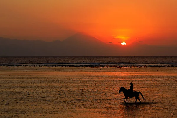Horse and rider on beach at sunset — 스톡 사진