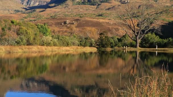 Drakensberg Βουνά Συμμετρική Αντανάκλαση Στο Νερό Royal Natal National Park — Αρχείο Βίντεο