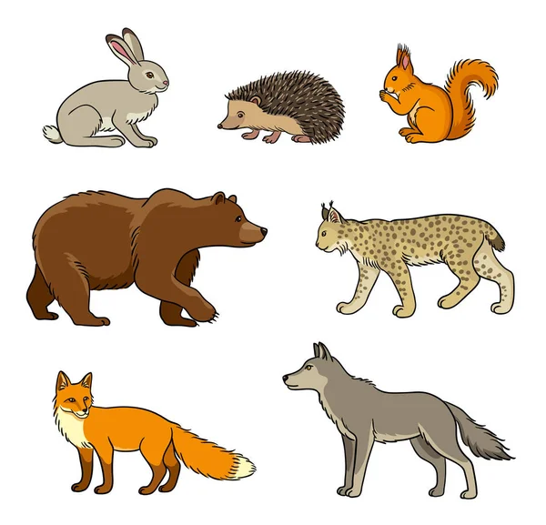 Set of vector forest animals — Stock Vector