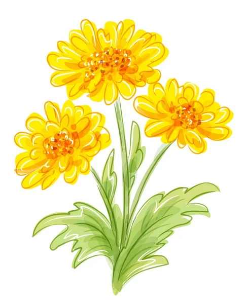 Three yellow flowers. EPS10 vector — Stock Vector