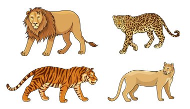 Set of vector big cats clipart