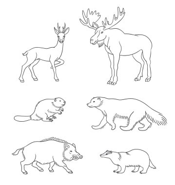 Set of vector forest animals in contours clipart