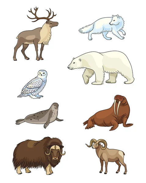 Conjunto de vectores animales árticos — Archivo Imágenes Vectoriales
