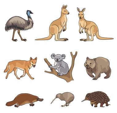 Vektör Avustralya hayvanlar kümesi