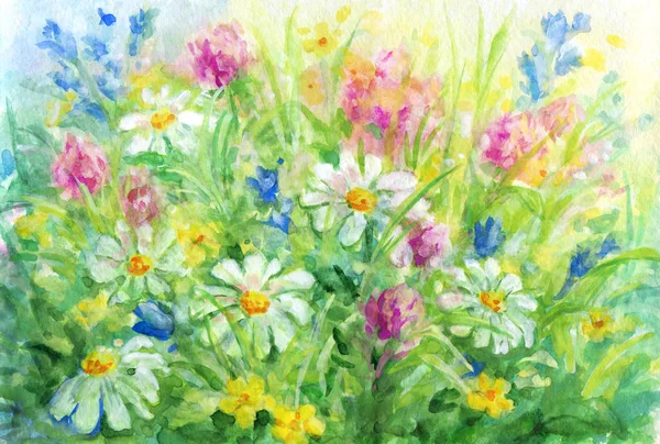 Wilde Blumen - Aquarell Hintergrundmalerei. — Stockfoto