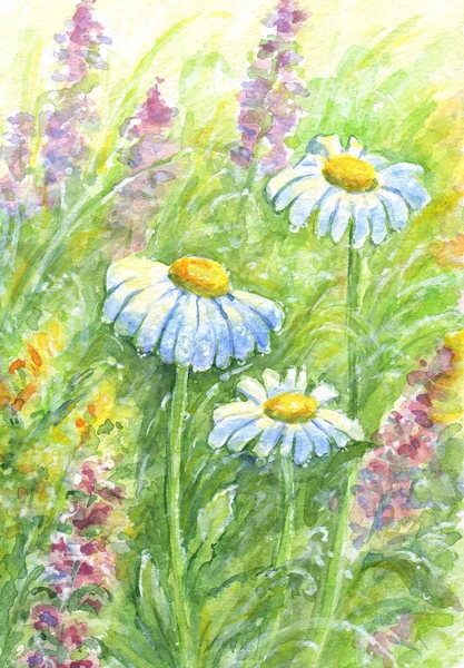 Wild flowers - watercolor painting.