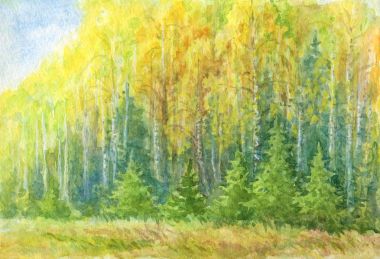 Sonbahar orman manzara suluboya çizimi