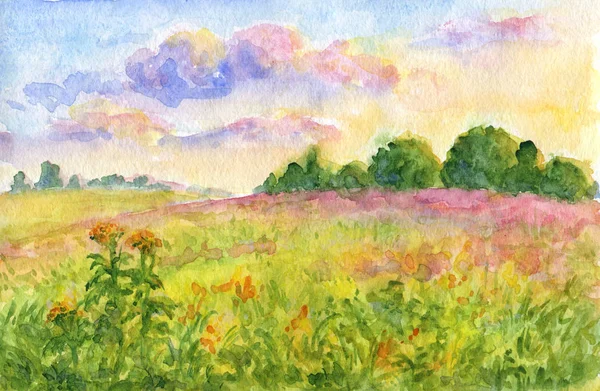 Sunset meadows - watercolor landscape — Stock Photo, Image