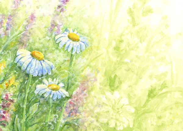 Wilde Blumen - Aquarell Hintergrund. — Stockfoto