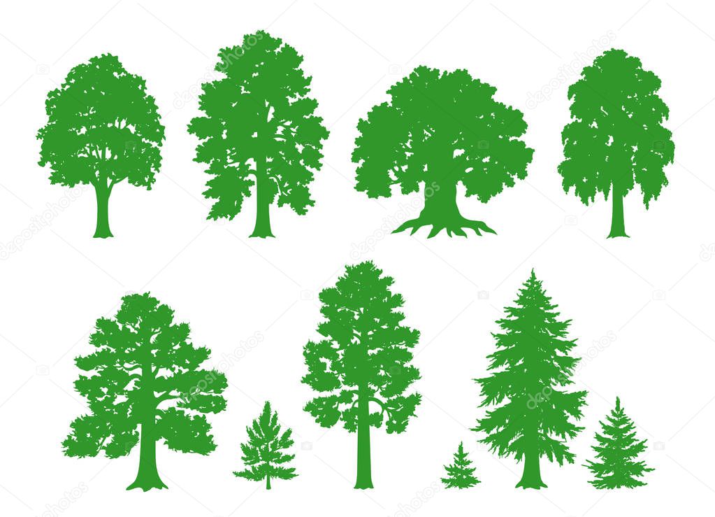 Vector silhouettes of trees