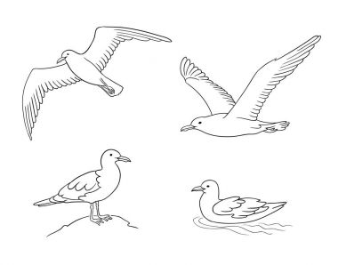 Martılar özetliyor - vektör çizim içinde