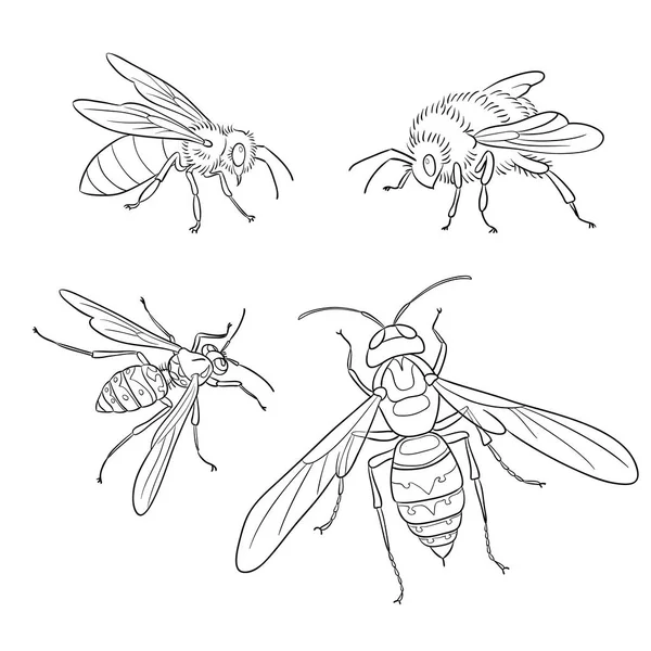 Abeja, avispa, abejorro, avispón en los contornos - ilustración vectorial — Vector de stock