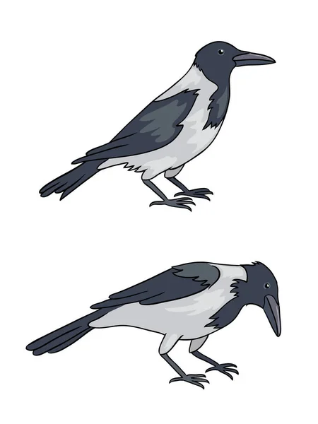 Deux corbeaux gris - illustration vectorielle — Image vectorielle