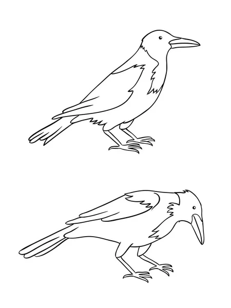 Две серые вороны в контурах - векторная иллюстрация — стоковый вектор
